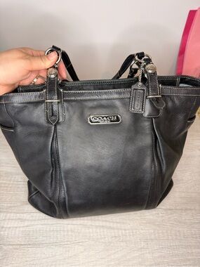 Coach Hampton Laguna Large Leather Tote (Style F16562)